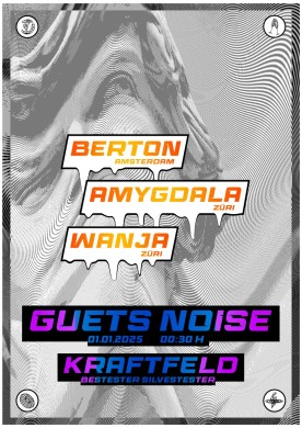 Guets Noise, Berton (Amsterdam), Amygdala (Züri), Wanja (züri) | 01.01.2025